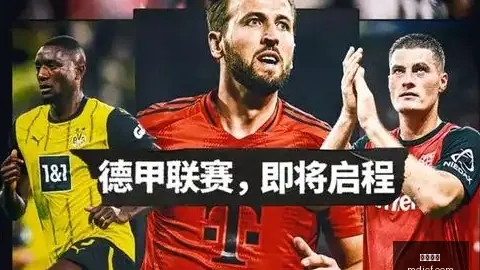 中超罚单解析：治标不治本，俱乐部与赛区处罚难促赛场文明之风